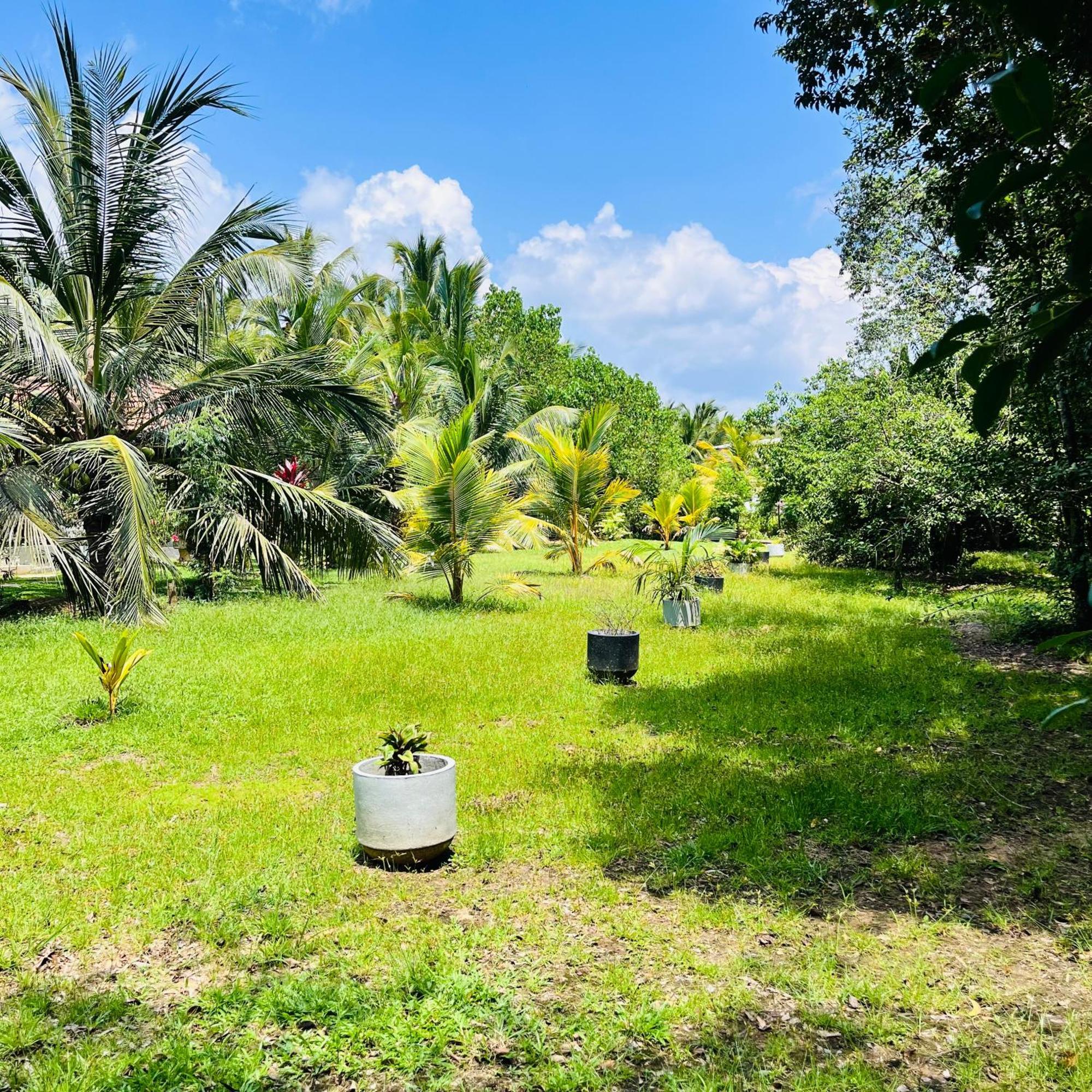 Hanguk Lanka Lagoon Villa Tangalle Extérieur photo