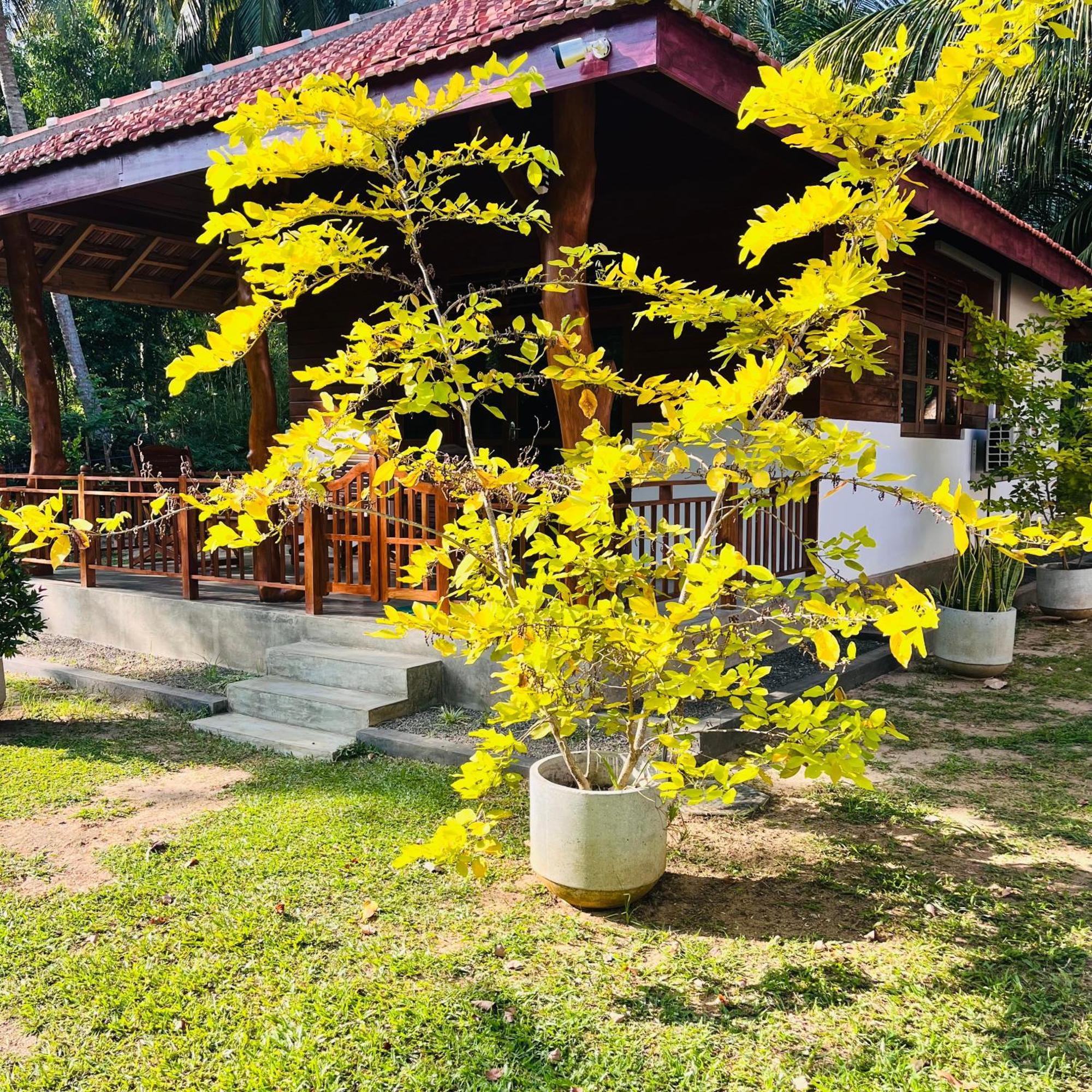 Hanguk Lanka Lagoon Villa Tangalle Extérieur photo